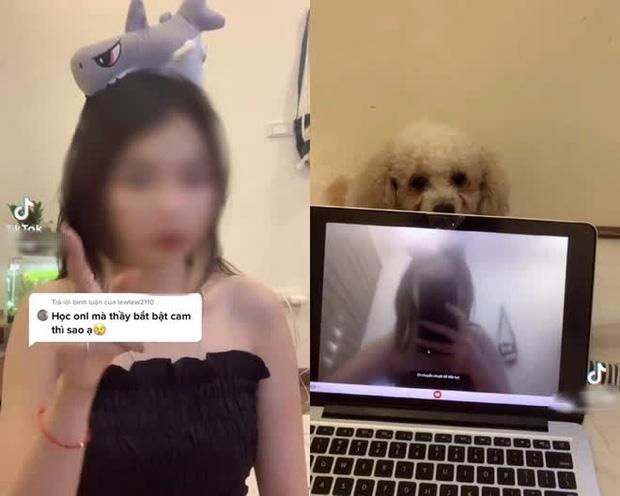 Drama căng đét giới TikTok: Hot girl làm loạt clip hướng dẫn học sinh gian lận-1