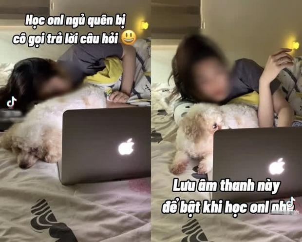 Drama căng đét giới TikTok: Hot girl làm loạt clip hướng dẫn học sinh gian lận-2