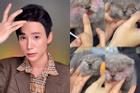 Lôi mèo ra makeup rồi gắn mi giả, một beauty blogger có tiếng bị netizen 'ném đá' phải lên mạng phân trần