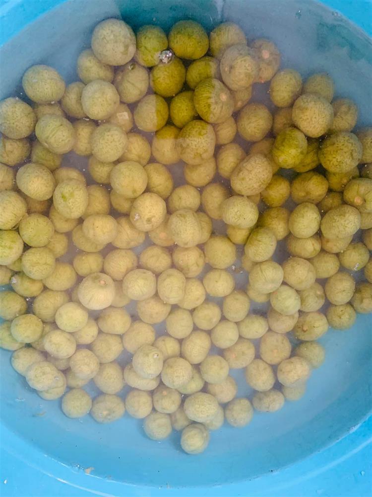 Nghỉ dịch làm ngay món sấu ngâm giòn, không bao giờ lo nổi váng-3