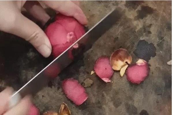 Cây măng cụt ra quả như đột biến khiến ai cũng kinh ngạc-5