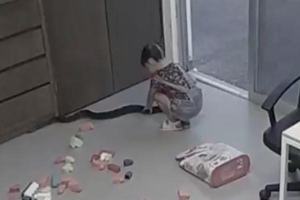Clip: Người phụ nữ hốt hoảng bế con bỏ chạy khi rắn lao tới-1