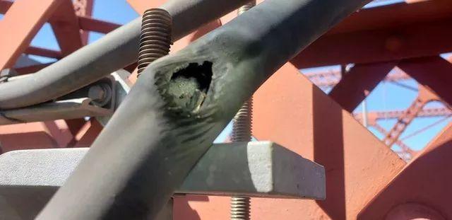 Nắng nóng kỷ lục ở Bắc Mỹ: Nhà cửa cong vẹo, đường xá nứt toác-4