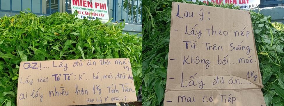 Anh Minh bán rau từ chối nhận tiền ủng hộ-3