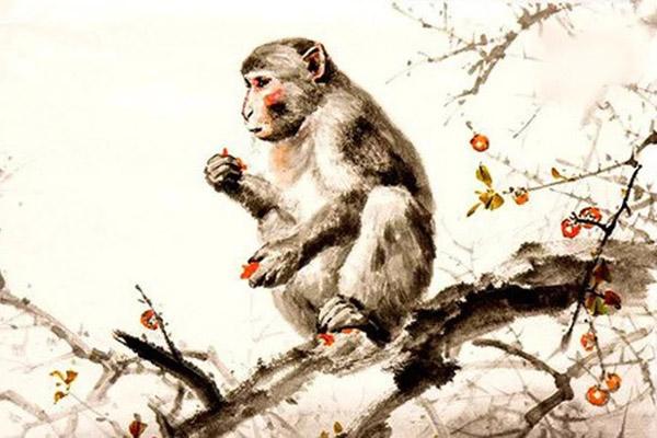 3 con giáp chỉ cần sống tốt, trời xanh tự an bài một đời viên mãn-4