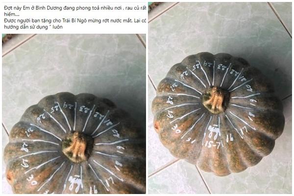 TikToker hướng dẫn trồng nấm kim châm tại nhà mùa dịch, kết quả lãng xẹt-4