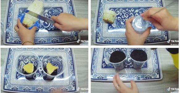 TikToker hướng dẫn trồng nấm kim châm tại nhà mùa dịch, kết quả lãng xẹt-1