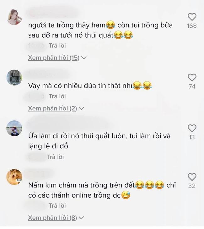 TikToker hướng dẫn trồng nấm kim châm tại nhà mùa dịch, kết quả lãng xẹt-3