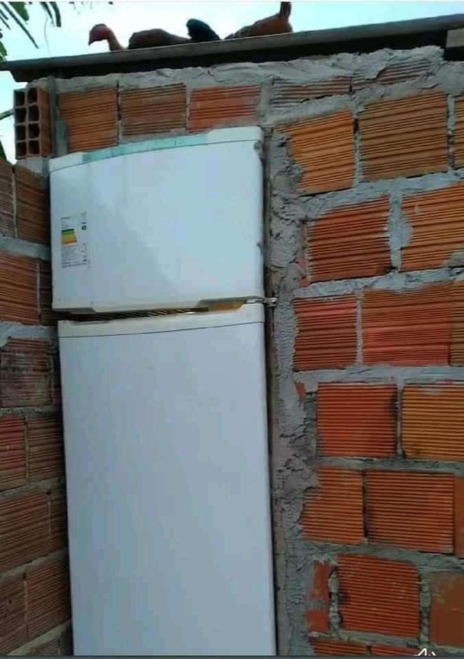 Khát khô họng vớ ngay chiếc tủ lạnh dị dạng, chạy nhanh còn kịp!-1