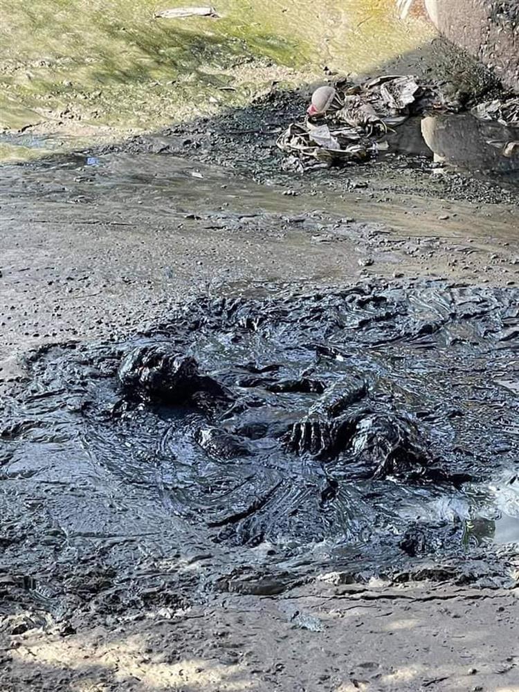 Người đàn ông say rượu ngoi lên giữa đống bùn đen như phim kinh dị-2