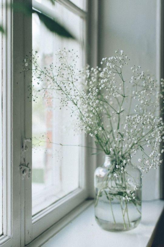 Tử vi 12 cung hoàng đạo thứ Năm ngày 22/7/2021: Xử Nữ hãy sửa mình-1