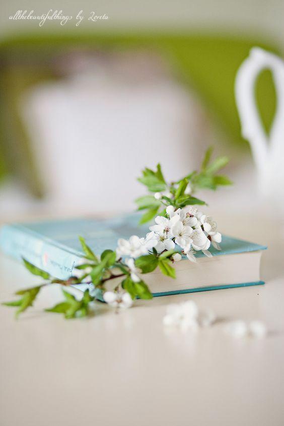 Tử vi 12 cung hoàng đạo thứ Năm ngày 22/7/2021: Xử Nữ hãy sửa mình-3