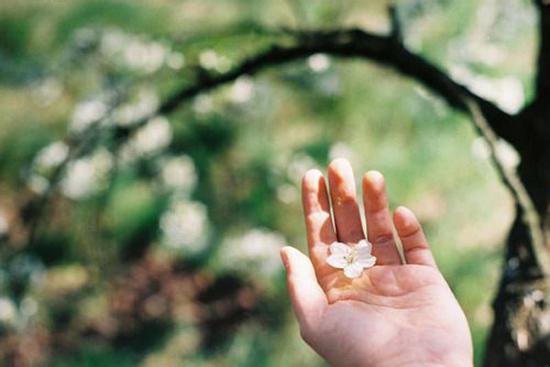 Tử vi 12 cung hoàng đạo thứ Năm ngày 22/7/2021: Xử Nữ hãy sửa mình