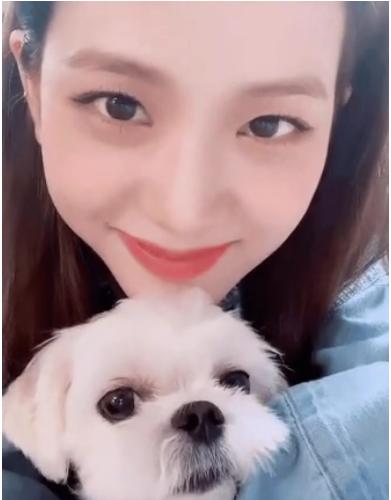 Số hưởng như cún cưng của Jisoo: 3 lãnh đạo Dior gửi quà sinh nhật gần 80 triệu-5