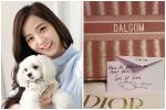 'Số hưởng' như cún cưng của Jisoo: 3 lãnh đạo Dior gửi quà sinh nhật gần 80 triệu