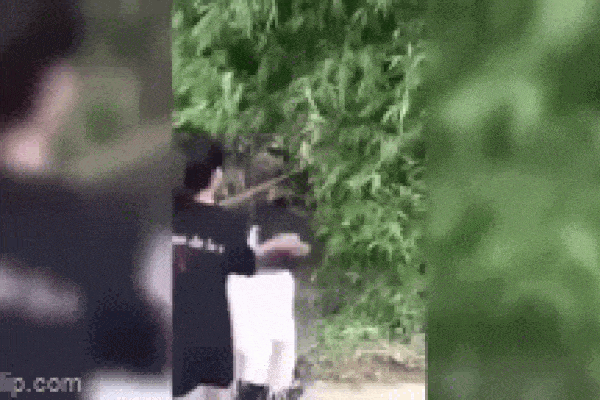 Thiếu nữ bị đánh hội đồng, thanh niên quay clip cổ vũ: Đánh mạnh lên-1
