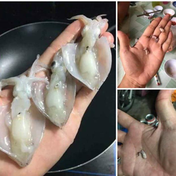 Ảo hơn photoshop chính là những cú lừa mang tên... đồ ăn-6