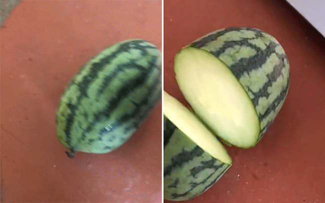 Cô gái khoe dưa hấu đột biến được định giá 2 tỷ, dân mạng khẳng định giống hiếm-2