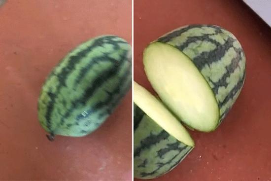 Cô gái khoe dưa hấu 'đột biến' được định giá 2 tỷ, dân mạng khẳng định giống hiếm