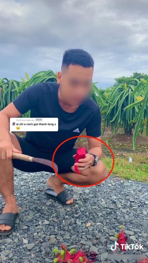 Chàng trai 3 đời trồng thanh long chỉ cách gọt vỏ, dân tình phản đối dữ dội-2