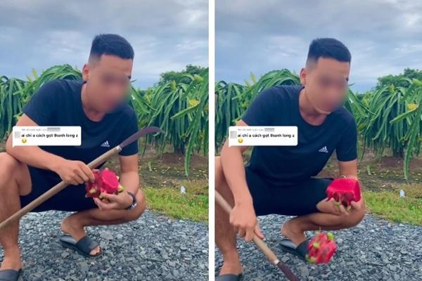 Cây thanh long ác nhất Việt Nam: Quả sai nhưng không cho ai hái-4