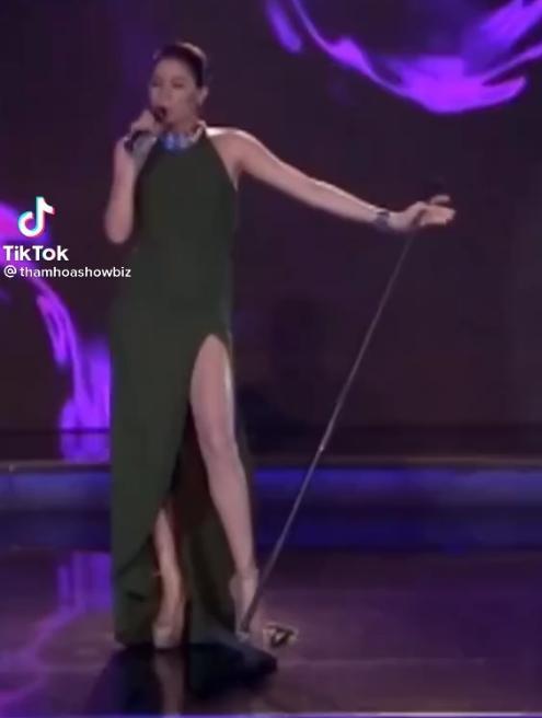 Thánh chửi Trang Trần hát live, netizen xin gấp máy thở cho chị đeo-3