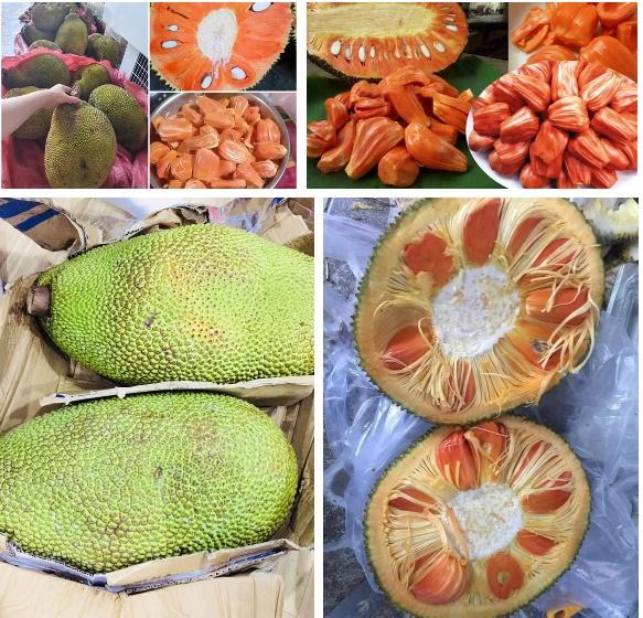 Tưởng mua được trái mít ngon, xẻ ra mới tá hỏa vì cảnh tượng siêu đột biến-3