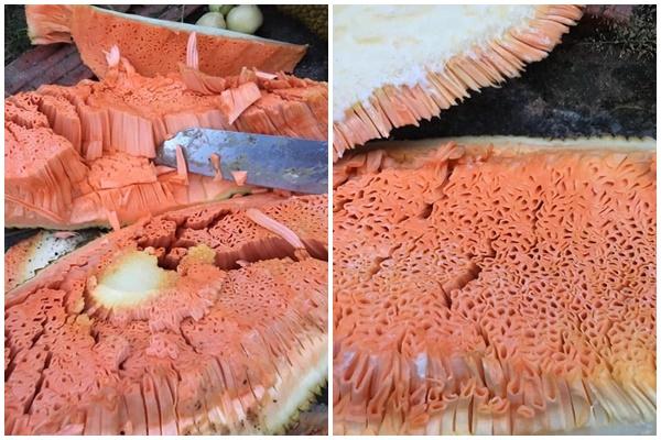 Lại 1 pha bổ mít trêu ngươi, chết ngượng vì giống y chang của quý-8