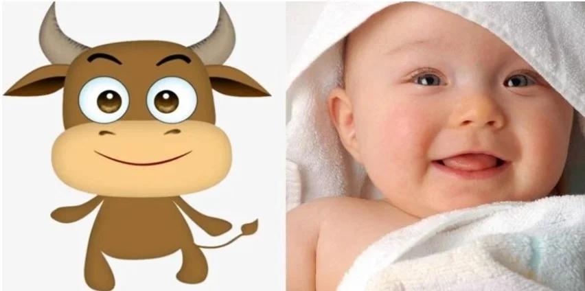 3 con giáp nữ nếu sinh con trai sẽ phát tài, sinh con gái thì phú quý-1