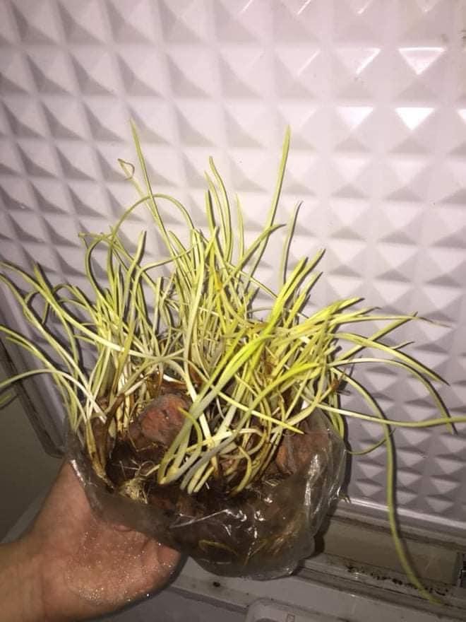 Trở lại phòng trọ sau kỳ nghỉ, sinh viên khóc thét vì đống của nợ-5