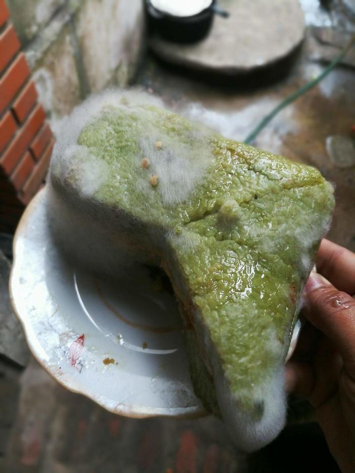 Trở lại phòng trọ sau kỳ nghỉ, sinh viên khóc thét vì đống của nợ-6