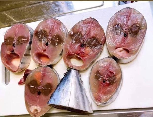 Bức ảnh chặt cá khiến ai lướt qua cũng giật mình, nhìn kiểu gì cũng thấy sợ-1