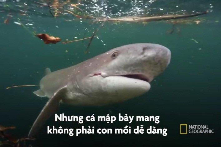 Ngôi nhà trong Lord Of The Rings có giá thuê chỉ 6 USD/đêm-9