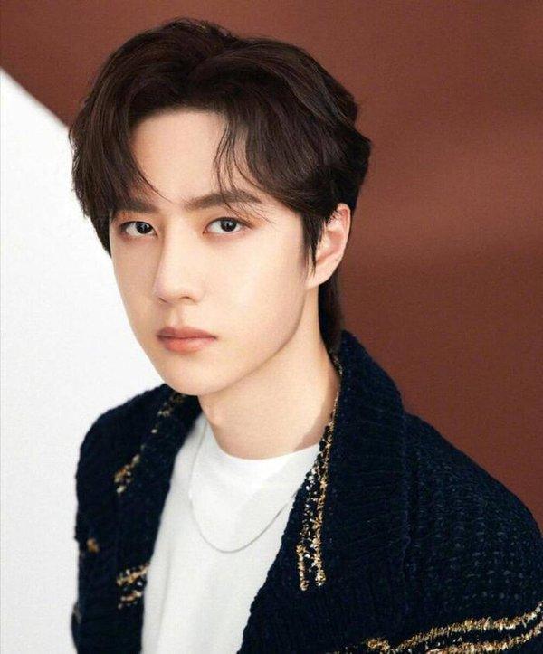 Những idol đình đám nhất Cbiz từng được các ông lớn chống lưng-2