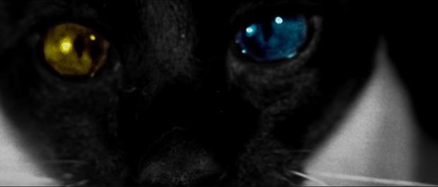 Red Velvet comeback sau 2 năm, ai ngờ MV đã được tiền bối f(x) tung hint từ lâu lắm rồi?-5