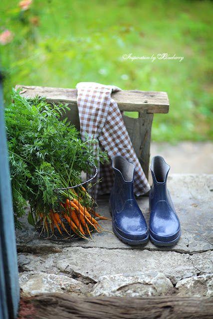 Tử vi 12 cung hoàng đạo thứ Ba ngày 27/7/2021: Thiên Bình hãy thôi u uất-3