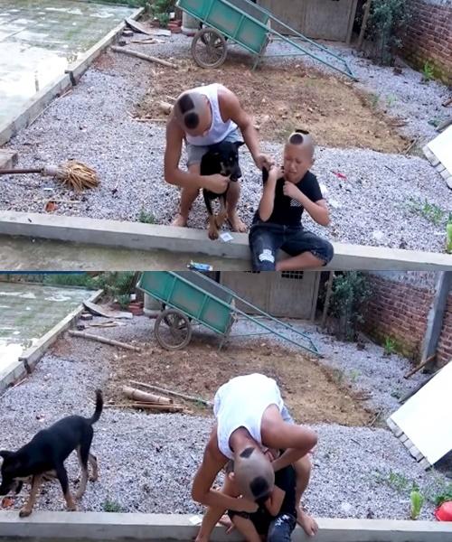 Tranh cãi Mao Đệ đút kẹo mút cho chó rồi mời Mao Ca ăn-6