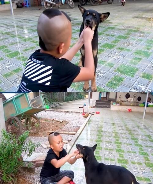 Tranh cãi Mao Đệ đút kẹo mút cho chó rồi mời Mao Ca ăn-3