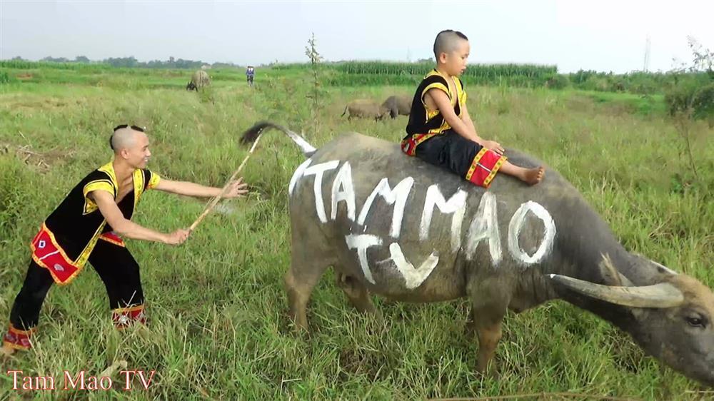 Tranh cãi Mao Đệ đút kẹo mút cho chó rồi mời Mao Ca ăn-1