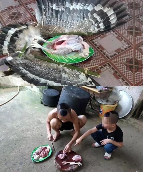 Tranh cãi Mao Đệ đút kẹo mút cho chó rồi mời Mao Ca ăn-11