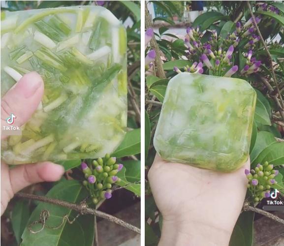 Trữ đông hành lá, cô gái không ngờ thu hoạch hẳn tảng băng trôi-1