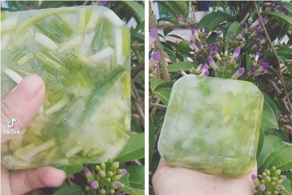 Những loại gia vị thay thế hành lá tốt nhất nhiều người không biết-8