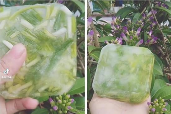 Trữ đông hành lá, cô gái không ngờ thu hoạch hẳn 'tảng băng trôi'