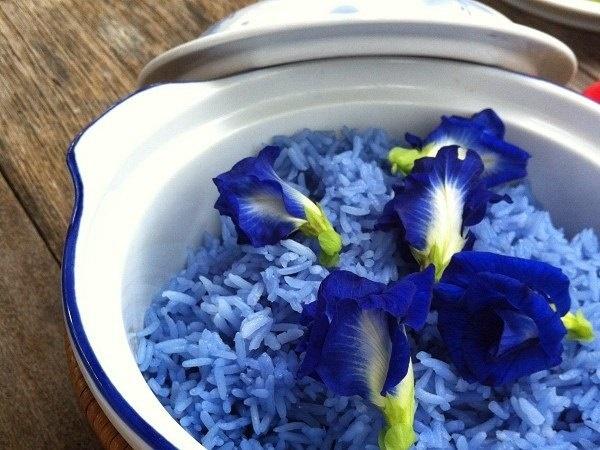 Gái đoảng đãi chồng mùa dịch, cơm đậu biếc hóa thành cơm ghẻ lở-4