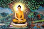 Lời Phật dạy khi chồng ngoại tình: Hãy tỉnh táo thay vì bi lụy, đau khổ