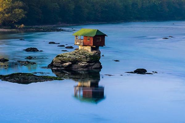 Hơn 800 con cá voi beluga di cư đến Bắc Cực-1