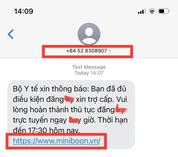 Thủ đoạn giả mạo website Bộ Y tế lừa đảo người khó khăn hưởng trợ cấp Covid-19-1
