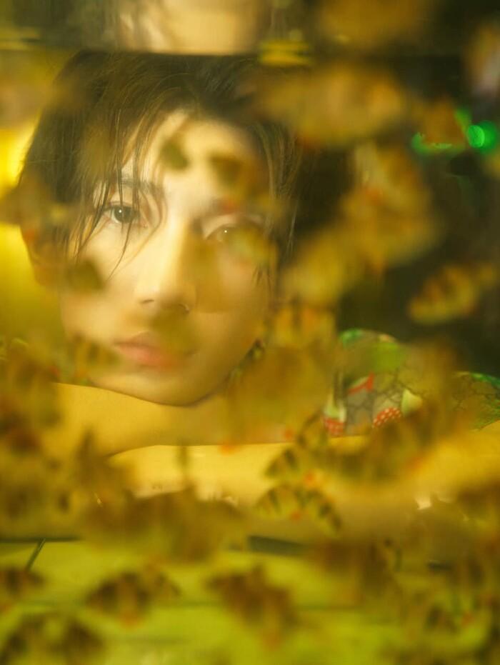 Vương Nguyên khốn khổ vì không có nguồn cảm xúc sáng tác-6