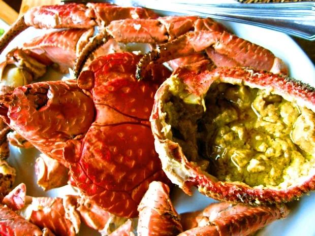 Quái vật trên cây dừa nhiều người sợ hãi lại là đặc sản hiếm có-4