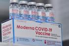 Hơn 3 triệu liều vaccine Moderna được phân bổ như thế nào?